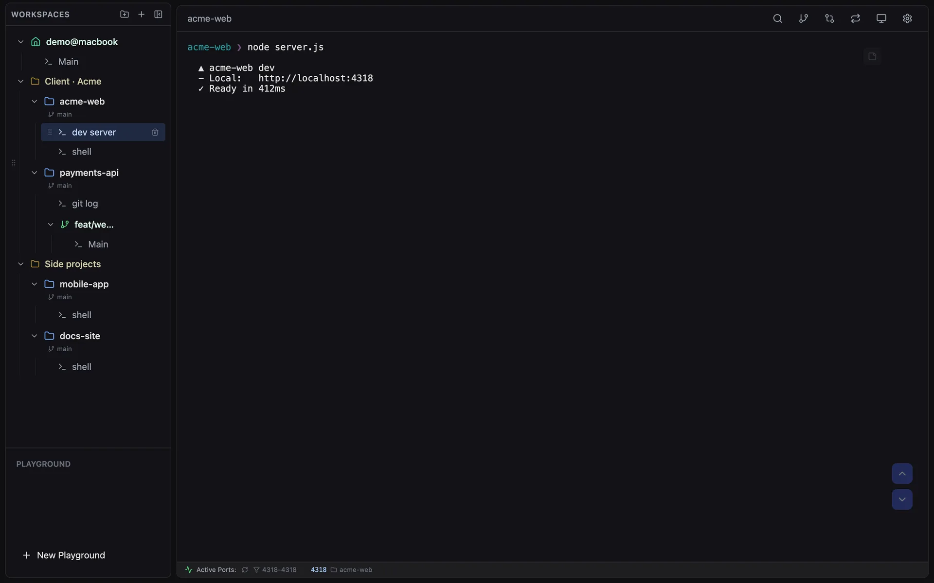 CLI Manager sidebar with folders, workspaces and sessions, and a running dev server